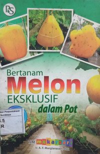 Image of Bertanam Melon Eksklusif dalam Pot